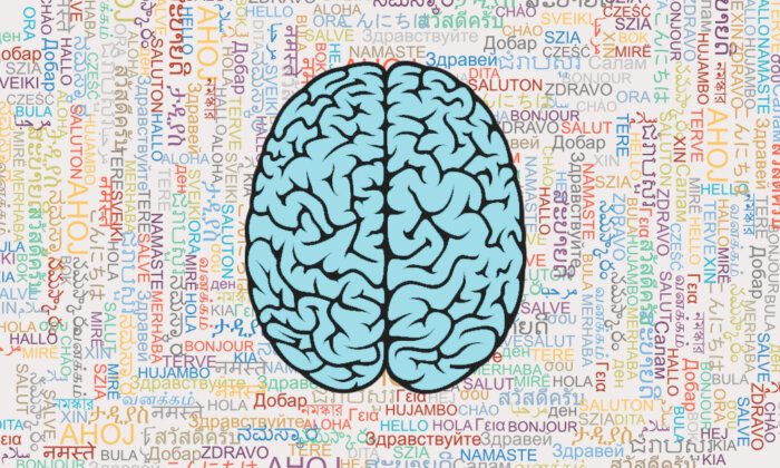 Как изучение языков влияет на мозг