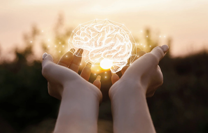 Память, концентрация и мышление